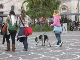 Walking the dog