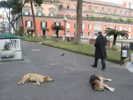 Neapolitan street view