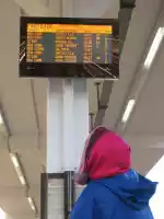 Our train was cancelled (SOP) and the others were late