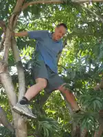 Climbing up to pick some fruits