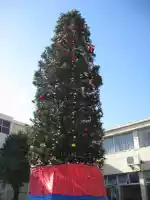 Genuine plastic tree for authentic Christmas celebrations