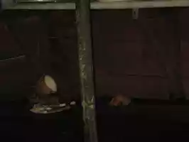 Our friend Mickey