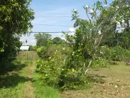 Yard view