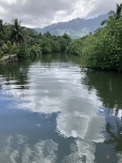 River at the end of the bay