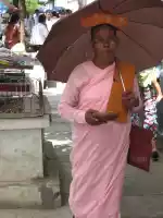 Nun on a money-begging-run Nun on a money-begging-run