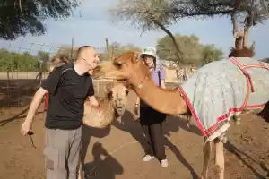 4 camels
