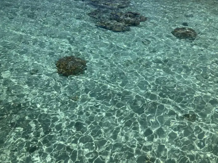 Water