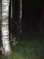 Preparing to shit, a new experience of doing it outside while other people are walking around