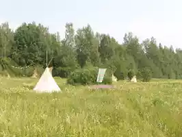 Teepees in the meadow