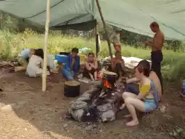 The kitchen