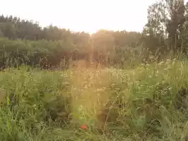 The sun, its almost midnight