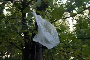 Our planet is filled with plastic bag trash