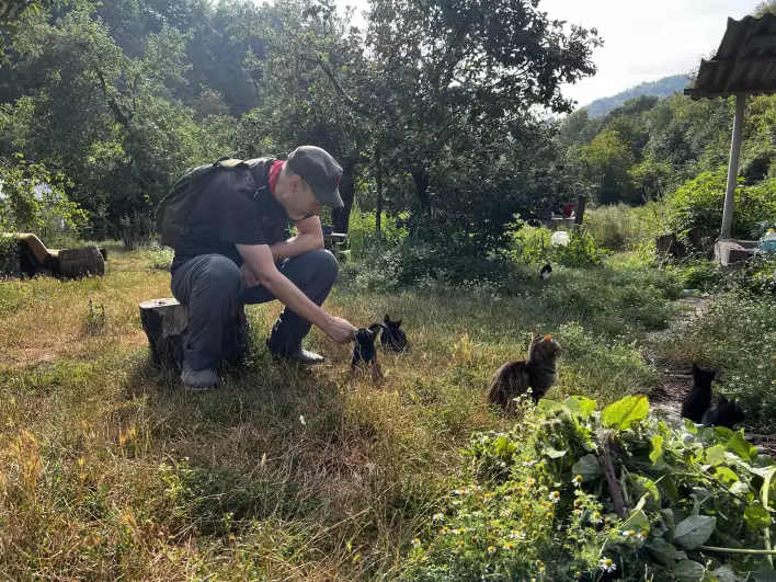 Kittens playtime