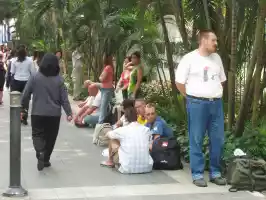 Queue in front of the Thai embassy