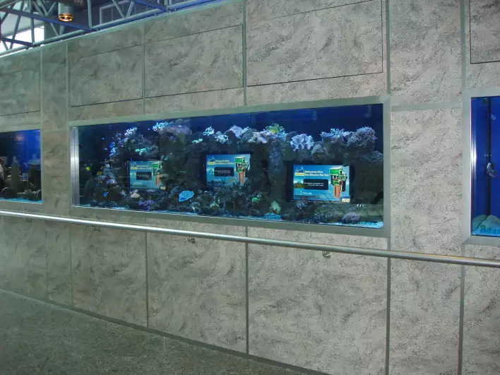 Tv in an aquarium