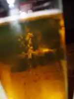 Beer Beer