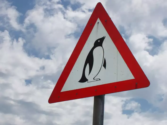 Watch out, penguins ahead!