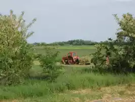 Hungarian countryside