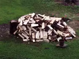 Log pile
