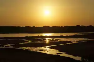 Yala national park