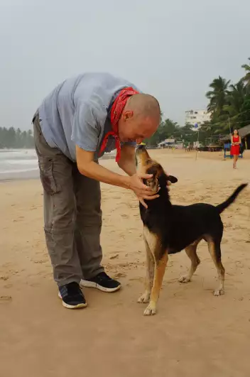 Our stray dog friends were the best part of our stay in Sri Lanka