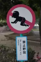 Babies ARE animals