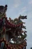 Dragons