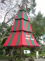 A Thai Christmas tree