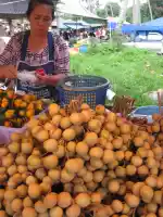Longan for sale