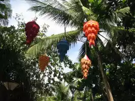 Paper lanterns