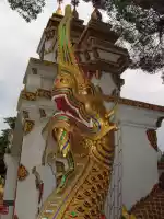 Dragon with one head