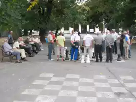 Giant chess game