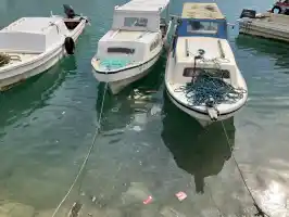 We did not want to see this We did not want to see this