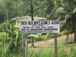 If you are an old boy or old girl, and happen to move to Toco, there is an association for you