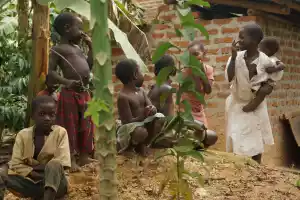 Jungle people Jungle people