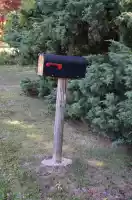 Donald Duck style mailbox