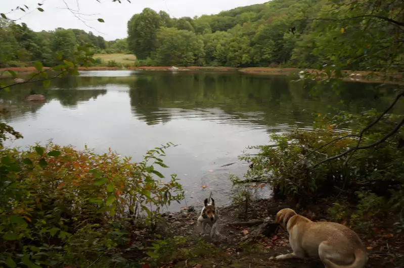 Little pond in Ringwood, NY