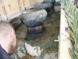 Santeri talking with the fish