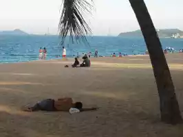 Siesta