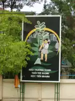 Trees need watering like the Vietnamese need patronising