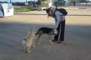 Päivis best friend Päivis best friend