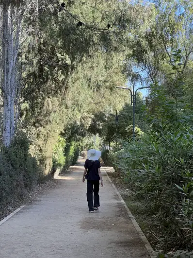 Green corridor in car infested Cyprus