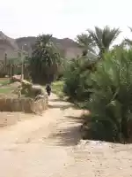 Country road Country road